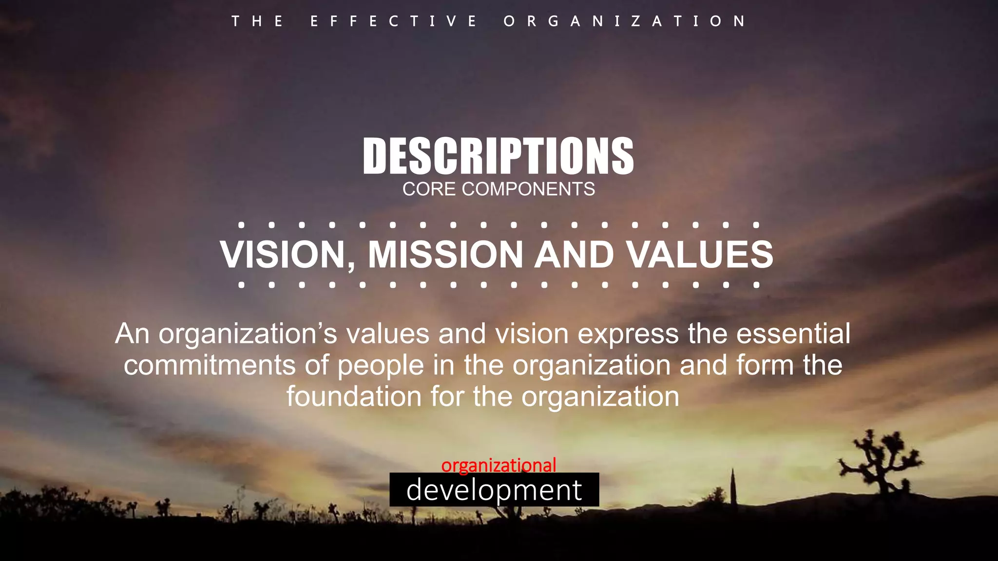 T H E E F F E C T I V E O R G A N I Z A T I O N 
DESCRIPTIONS 
CORE COMPONENTS 
. . . . . . . . . . . . . . . . . . 
. . . . . . . . . . . . . . . . . . 
VISION, MISSION AND VALUES 
An organization’s values and vision express the essential 
commitments of people in the organization and form the 
foundation for the organization 
organizational 
development 
 