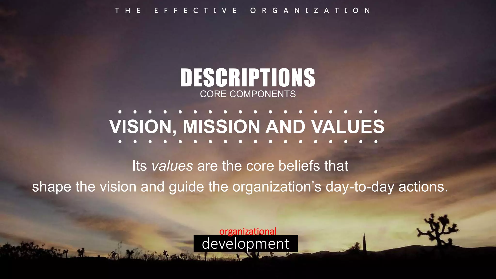 T H E E F F E C T I V E O R G A N I Z A T I O N 
DESCRIPTIONS 
CORE COMPONENTS 
. . . . . . . . . . . . . . . . . . 
. . . . . . . . . . . . . . . . . . 
VISION, MISSION AND VALUES 
Its values are the core beliefs that 
shape the vision and guide the organization’s day-to-day actions. 
organizational 
development 
 