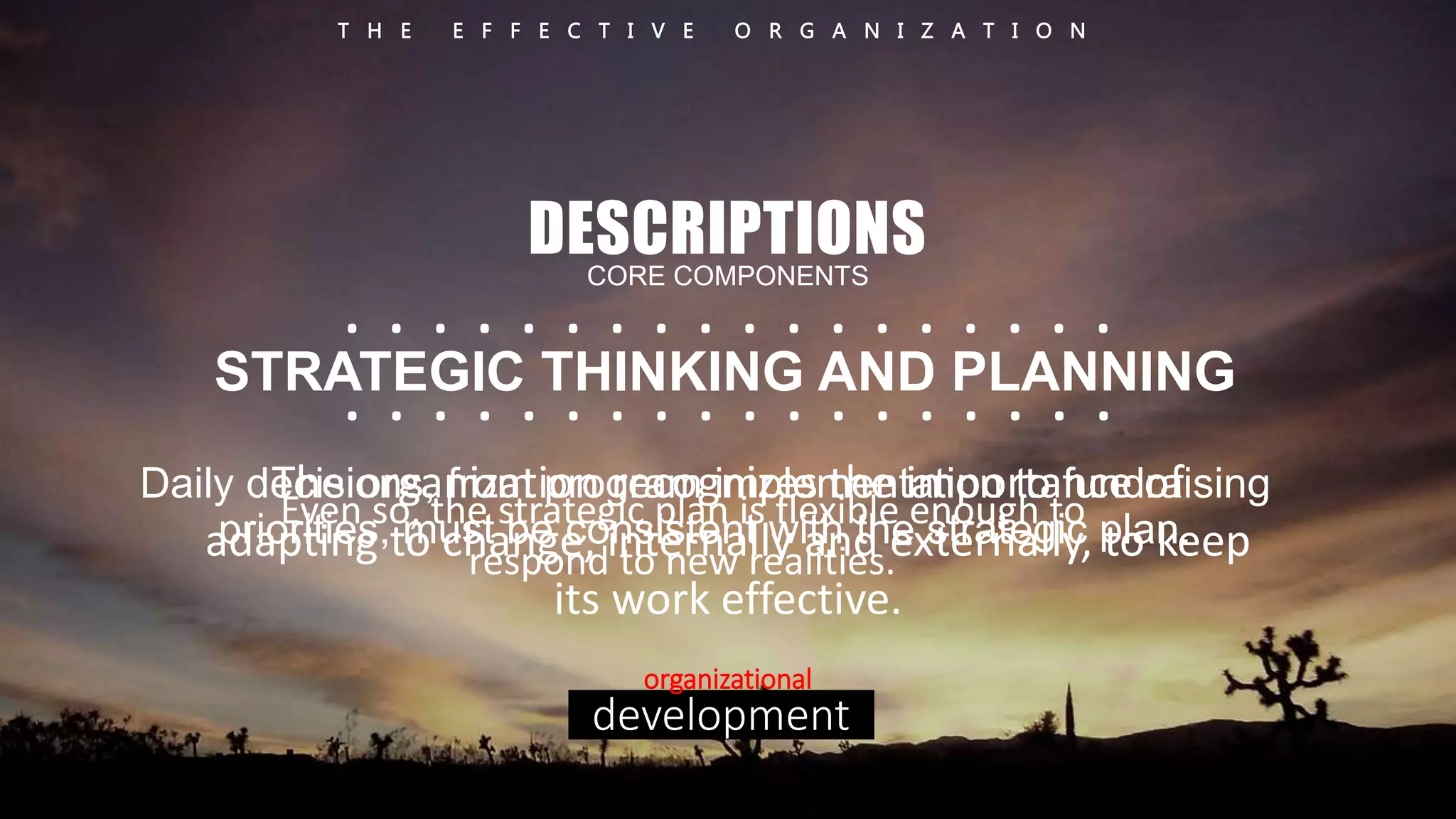 T H E E F F E C T I V E O R G A N I Z A T I O N 
DESCRIPTIONS 
CORE COMPONENTS 
. . . . . . . . . . . . . . . . . . 
. . . . . . . . . . . . . . . . . . 
STRATEGIC THINKING AND PLANNING 
The organization recognizes the importance of 
Daily decisions, from program implementation to fundraising 
priorities, Even so m, tuhset sbtrea tceognics pisltaenn its wfleitxhi bthlee e sntoraugtehg tioc plan. 
adapting to change, internally and externally, to keep 
respond to new realities. 
its work effective. 
organizational 
development 
 