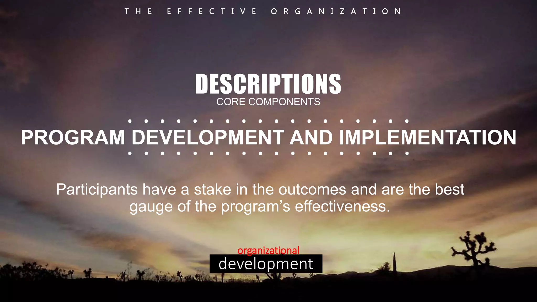 T H E E F F E C T I V E O R G A N I Z A T I O N 
DESCRIPTIONS 
CORE COMPONENTS 
. . . . . . . . . . . . . . . . . . 
. . . . . . . . . . . . . . . . . . 
PROGRAM DEVELOPMENT AND IMPLEMENTATION 
Participants have a stake in the outcomes and are the best 
gauge of the program’s effectiveness. 
organizational 
development 
 