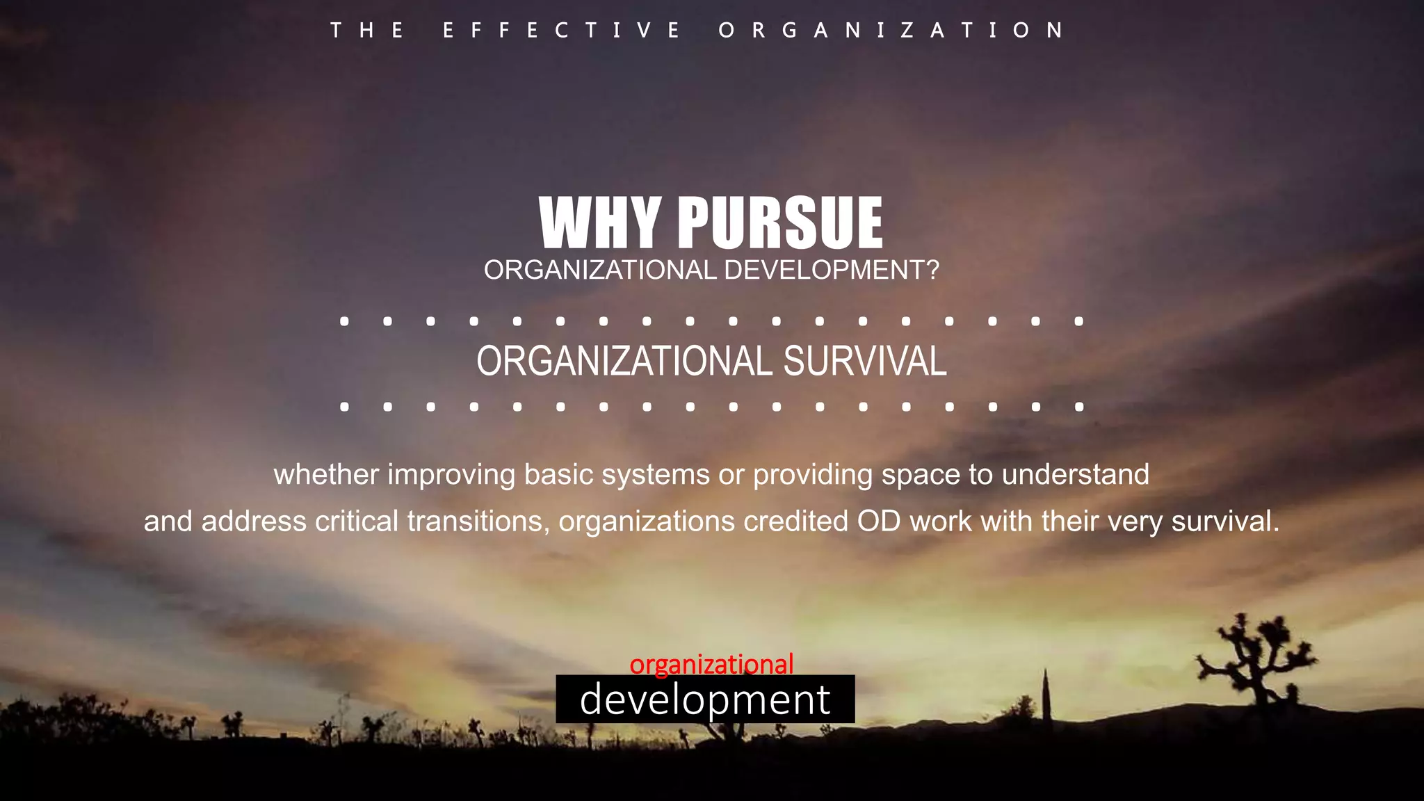 T H E E F F E C T I V E O R G A N I Z A T I O N 
WHY PURSUE 
ORGANIZATIONAL DEVELOPMENT? 
. . . . . . . . . . . . . . . . . . 
. . . . ORGANIZATIONAL . . . . . . . SURVIVAL 
. . . . . . . 
whether improving basic systems or providing space to understand 
and address critical transitions, organizations credited OD work with their very survival. 
organizational 
development 
 