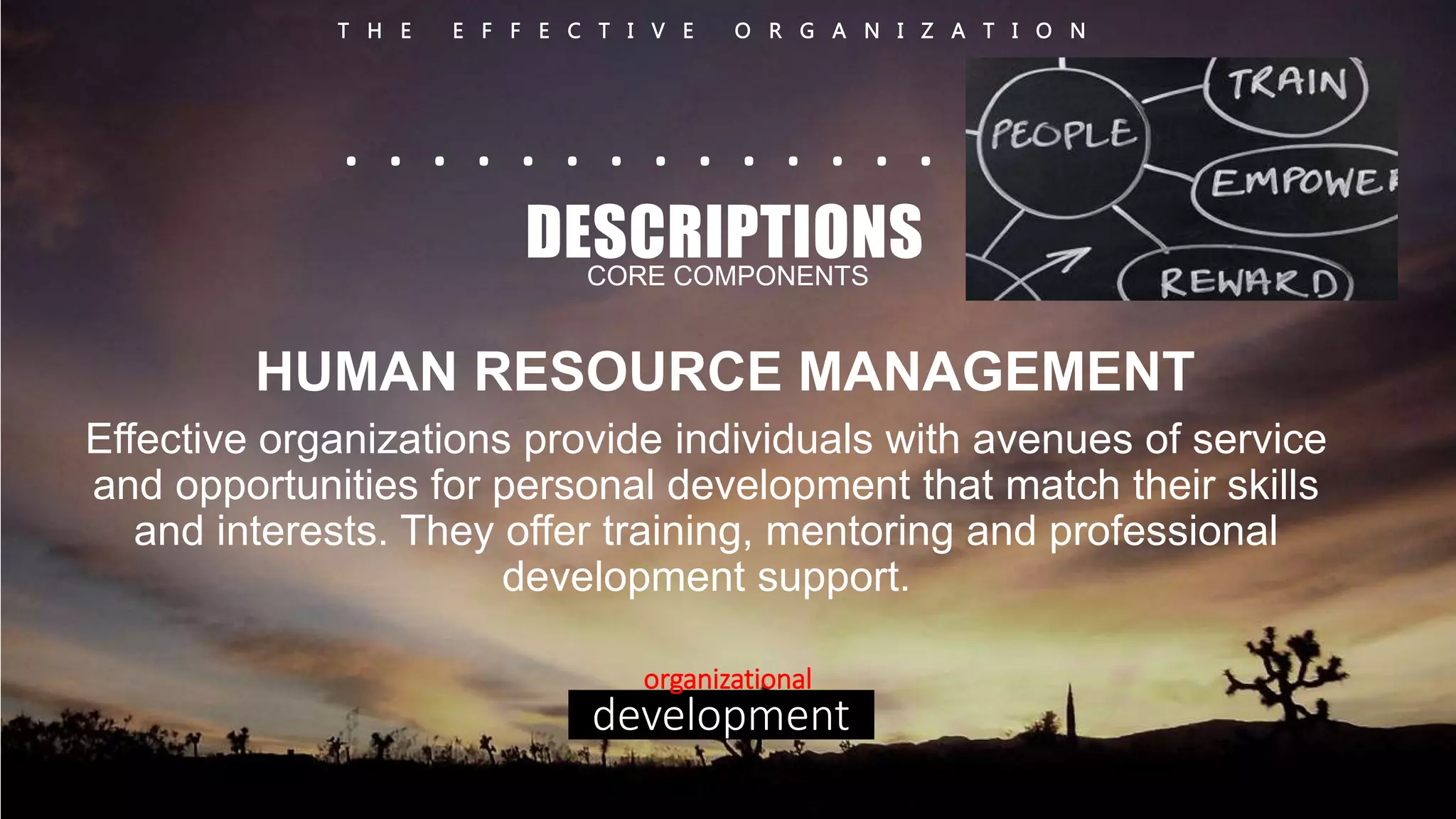 T H E E F F E C T I V E O R G A N I Z A T I O N 
. . . . . . . . . . . . . . . . . . 
DESCRIPTIONS 
CORE COMPONENTS 
HUMAN RESOURCE MANAGEMENT 
Effective organizations provide individuals with avenues of service 
and opportunities for personal development that match their skills 
and interests. They offer training, mentoring and professional 
development support. 
organizational 
development 
 