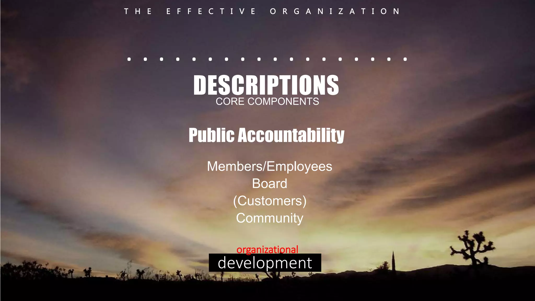 T H E E F F E C T I V E O R G A N I Z A T I O N 
. . . . . . . . . . . . . . . . . . 
DESCRIPTIONS 
CORE COMPONENTS 
Public Accountability 
Members/Employees 
Board 
(Customers) 
Community 
organizational 
development 
 