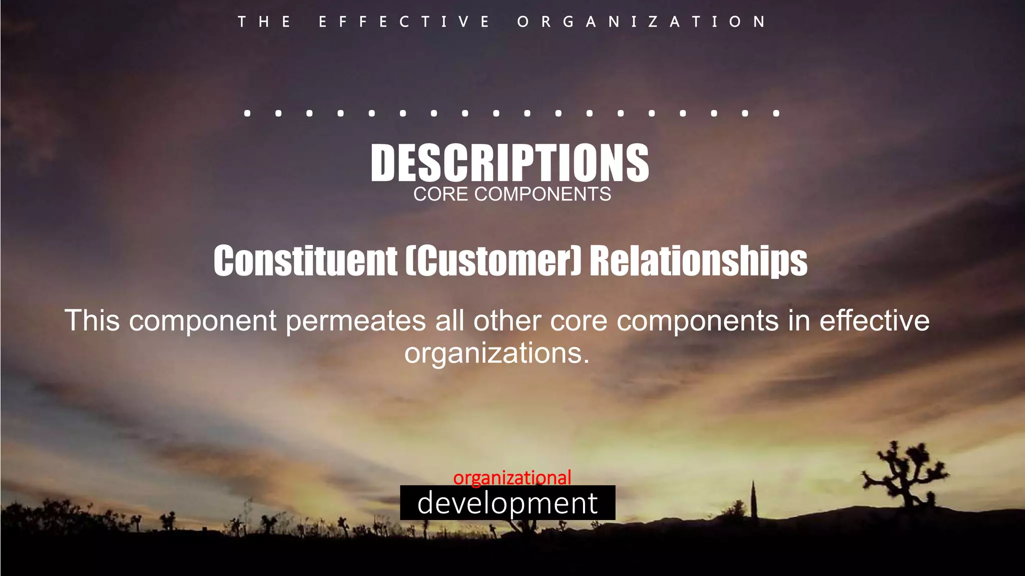 T H E E F F E C T I V E O R G A N I Z A T I O N 
. . . . . . . . . . . . . . . . . . 
DESCRIPTIONS 
CORE COMPONENTS 
Constituent (Customer) Relationships 
This component permeates all other core components in effective 
organizations. 
organizational 
development 
 