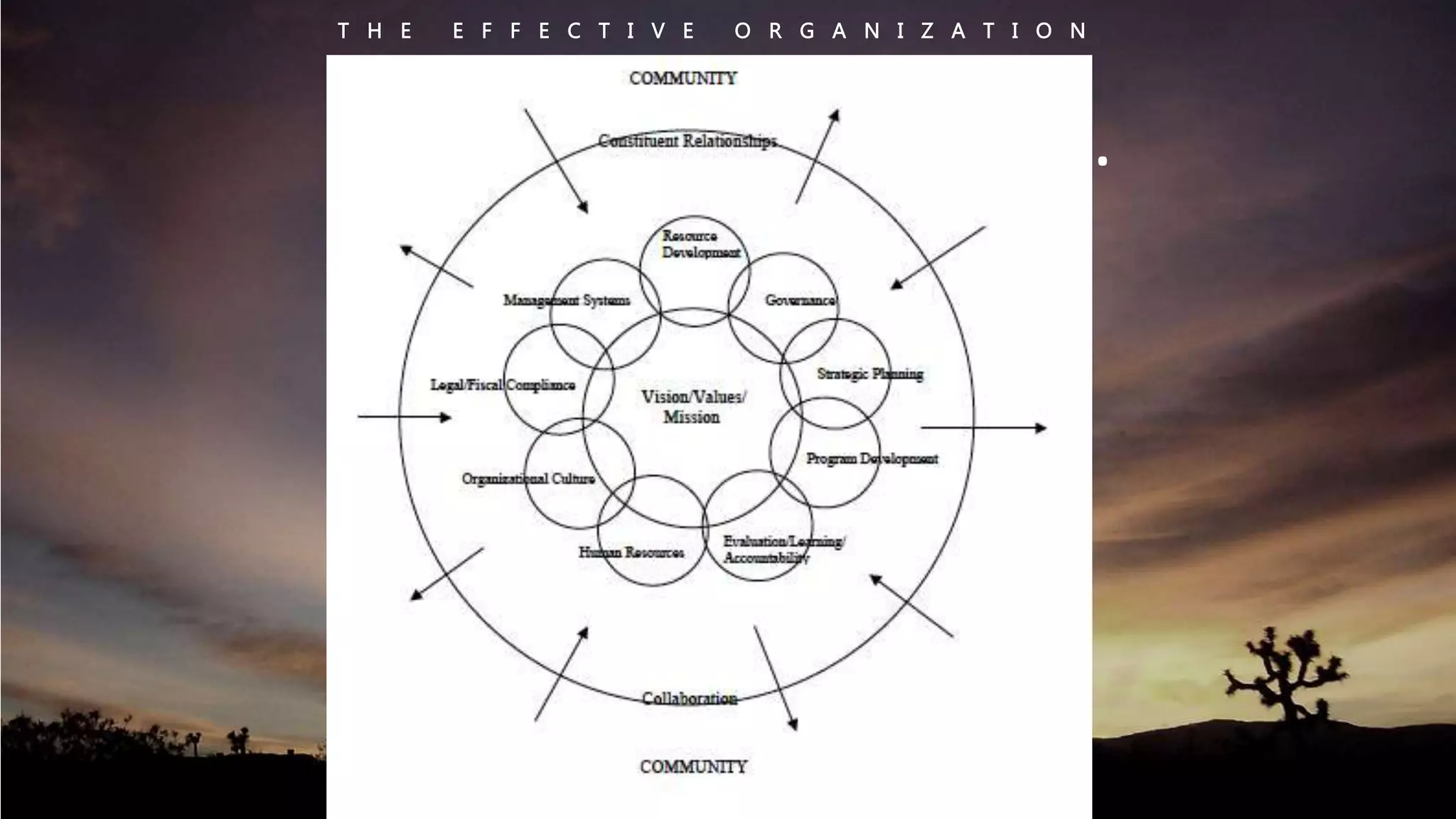 T H E E F F E C T I V E O R G A N I Z A T I O N 
. . . . . . . . . . . . . . . . . . 
organizational 
development 
 