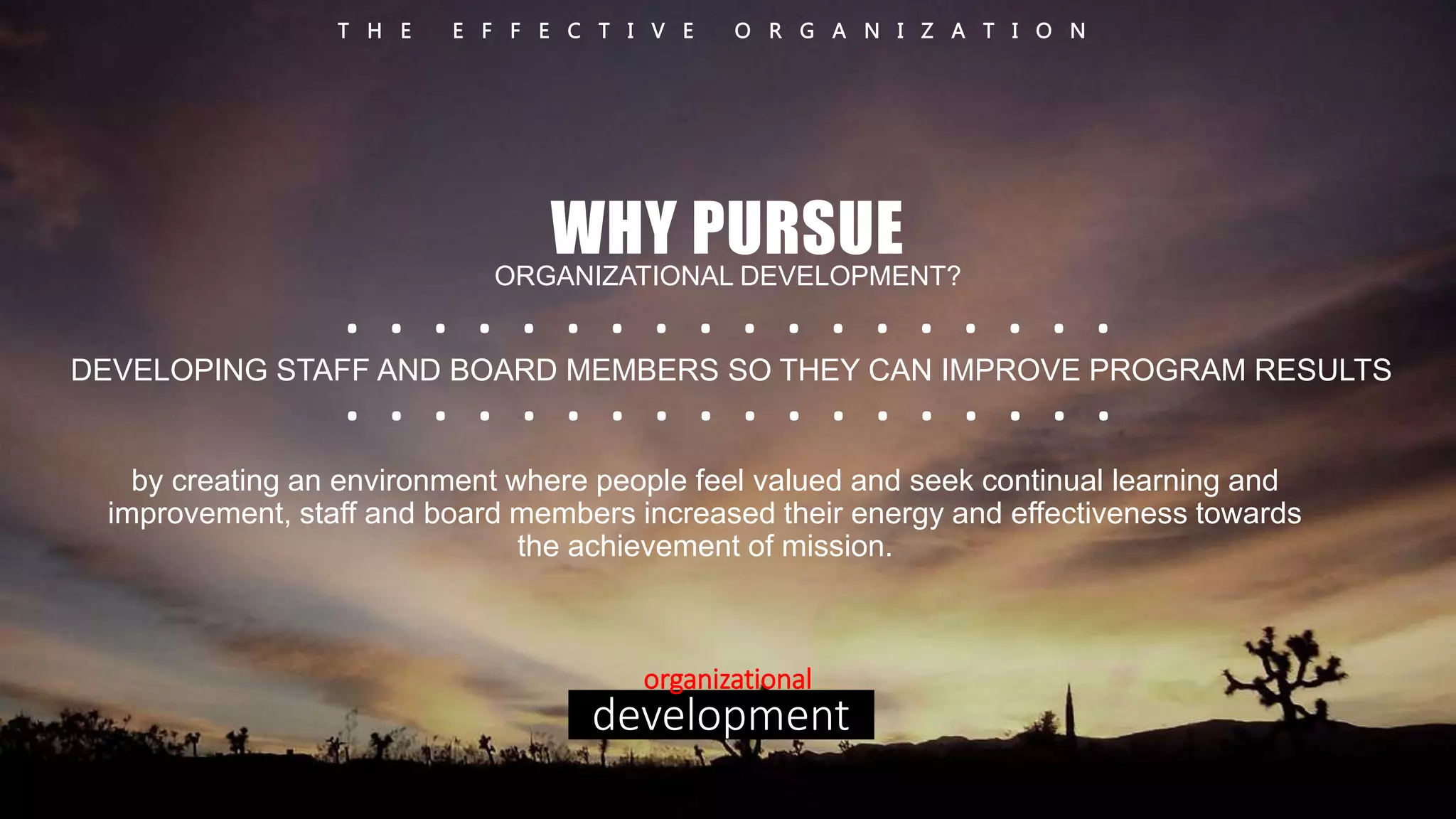T H E E F F E C T I V E O R G A N I Z A T I O N 
WHY PURSUE 
ORGANIZATIONAL DEVELOPMENT? 
. . . . . . . . . . . . . . . . . . 
. . . . . . . . . . . . . . . . . . 
DEVELOPING STAFF AND BOARD MEMBERS SO THEY CAN IMPROVE PROGRAM RESULTS 
by creating an environment where people feel valued and seek continual learning and 
improvement, staff and board members increased their energy and effectiveness towards 
the achievement of mission. 
organizational 
development 
 