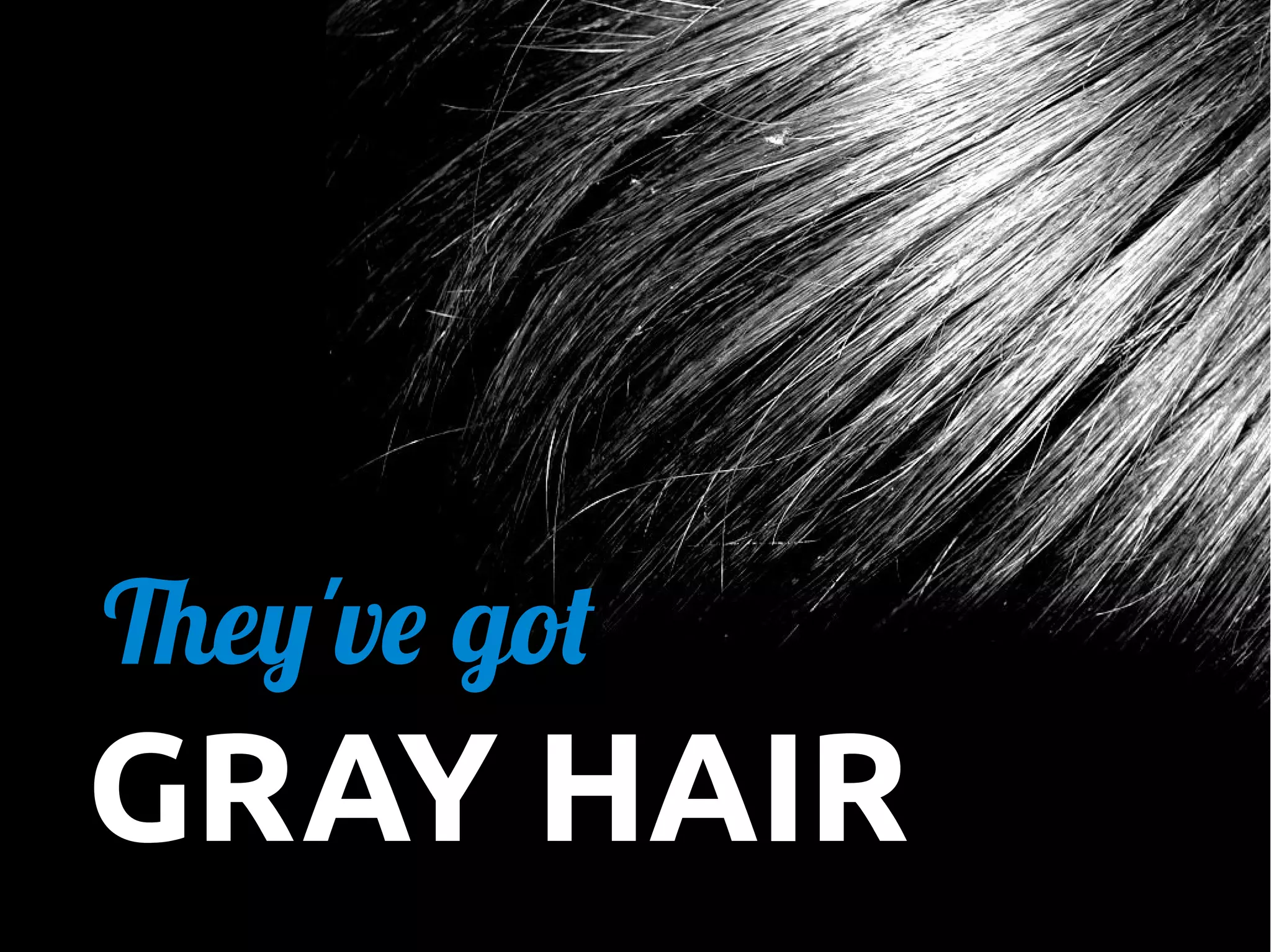 They've got

GRAY HAIR

 
