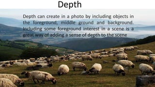 Object Photography In Depth Effective photography with composition | PPTX