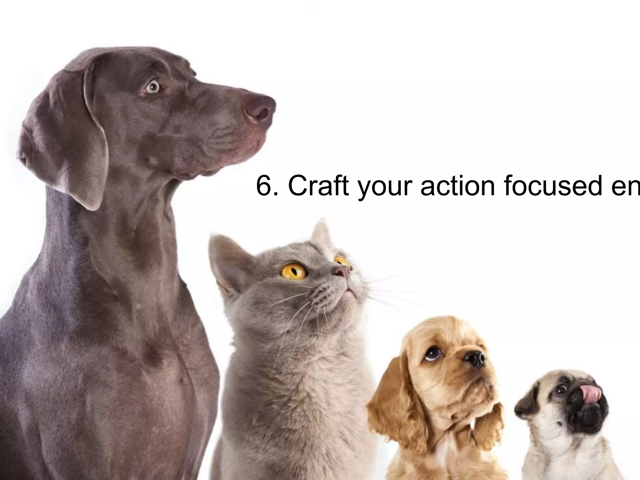 6. Craft your action focused en