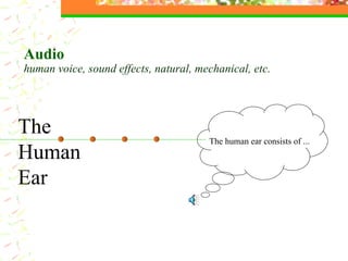 The  Human Ear Audio  human voice, sound effects, natural, mechanical, etc. The human ear consists of ... 