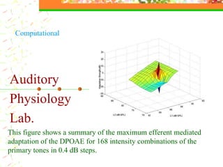 Auditory  Physiology  Lab. This figure shows a summary of the maximum efferent mediated adaptation of the DPOAE for 168 intensity combinations of the primary tones in 0.4 dB steps.  Computational  