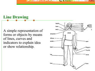 A simple representation of forms or objects by means of lines, curves and indicators to explain idea or show relationship. Line Drawing 