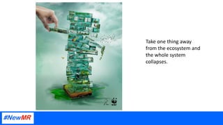 Take one thing away
from the ecosystem and
the whole system
collapses.
 