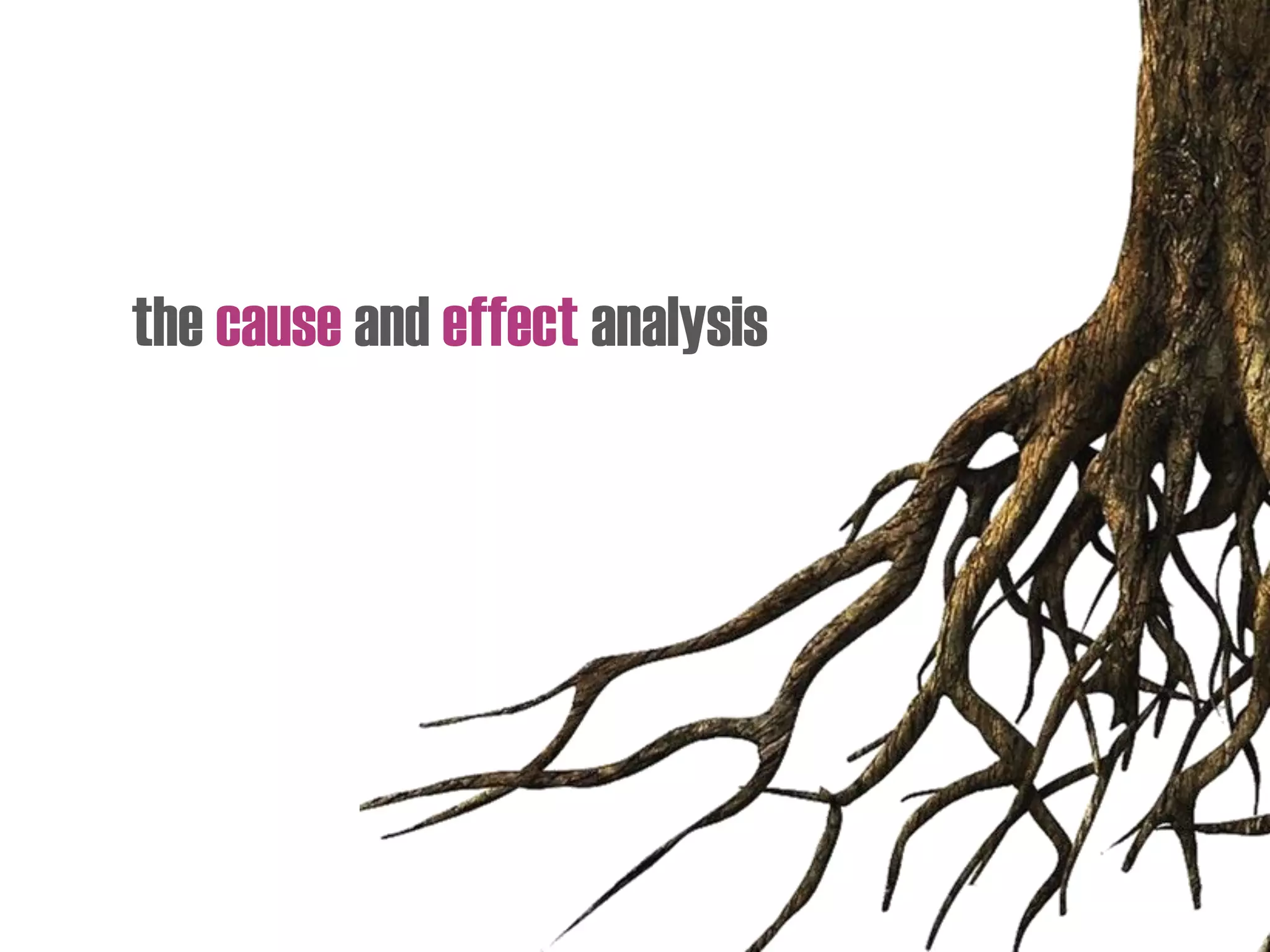 the cause and effect analysis
 