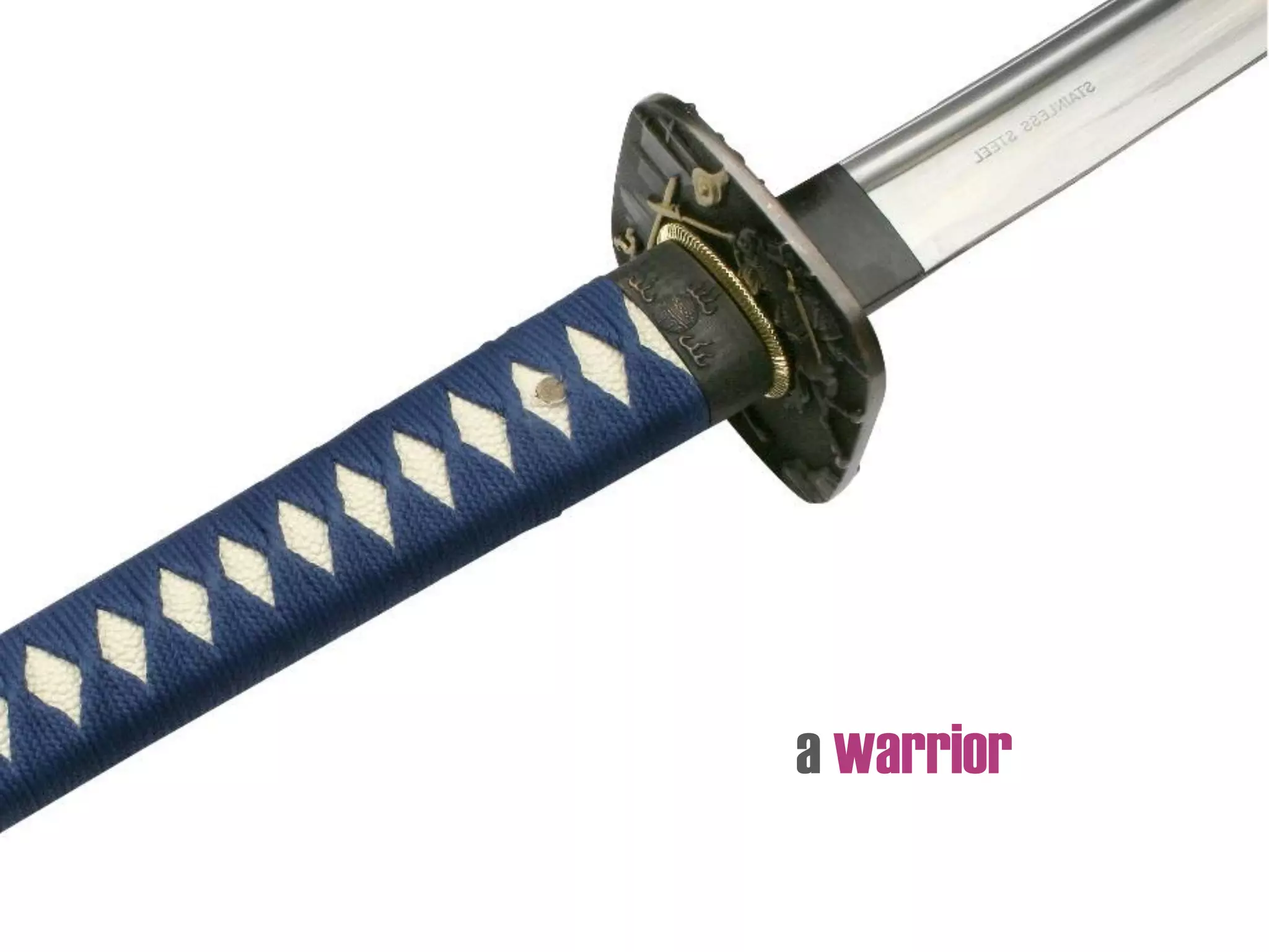 a warrior
 