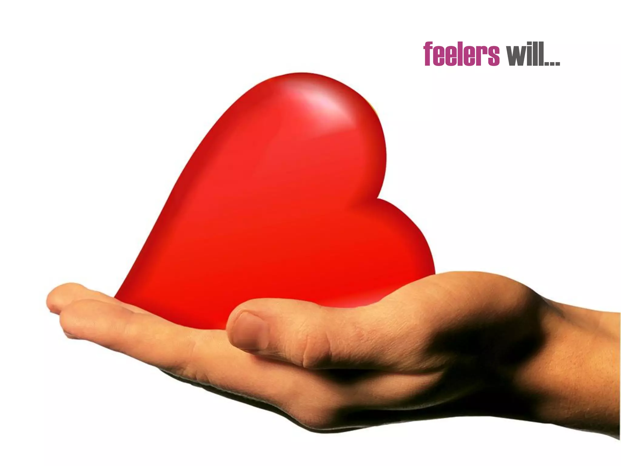 feelers will…
 