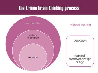 neo-mamalian
paleo-
mamalian
reptilian
fear; self-
preservation; fight
or flight
emotions
rational thought
the triune brain thinking process
 