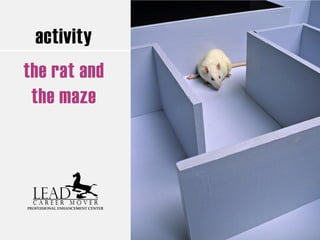 activity
the rat and
the maze
 