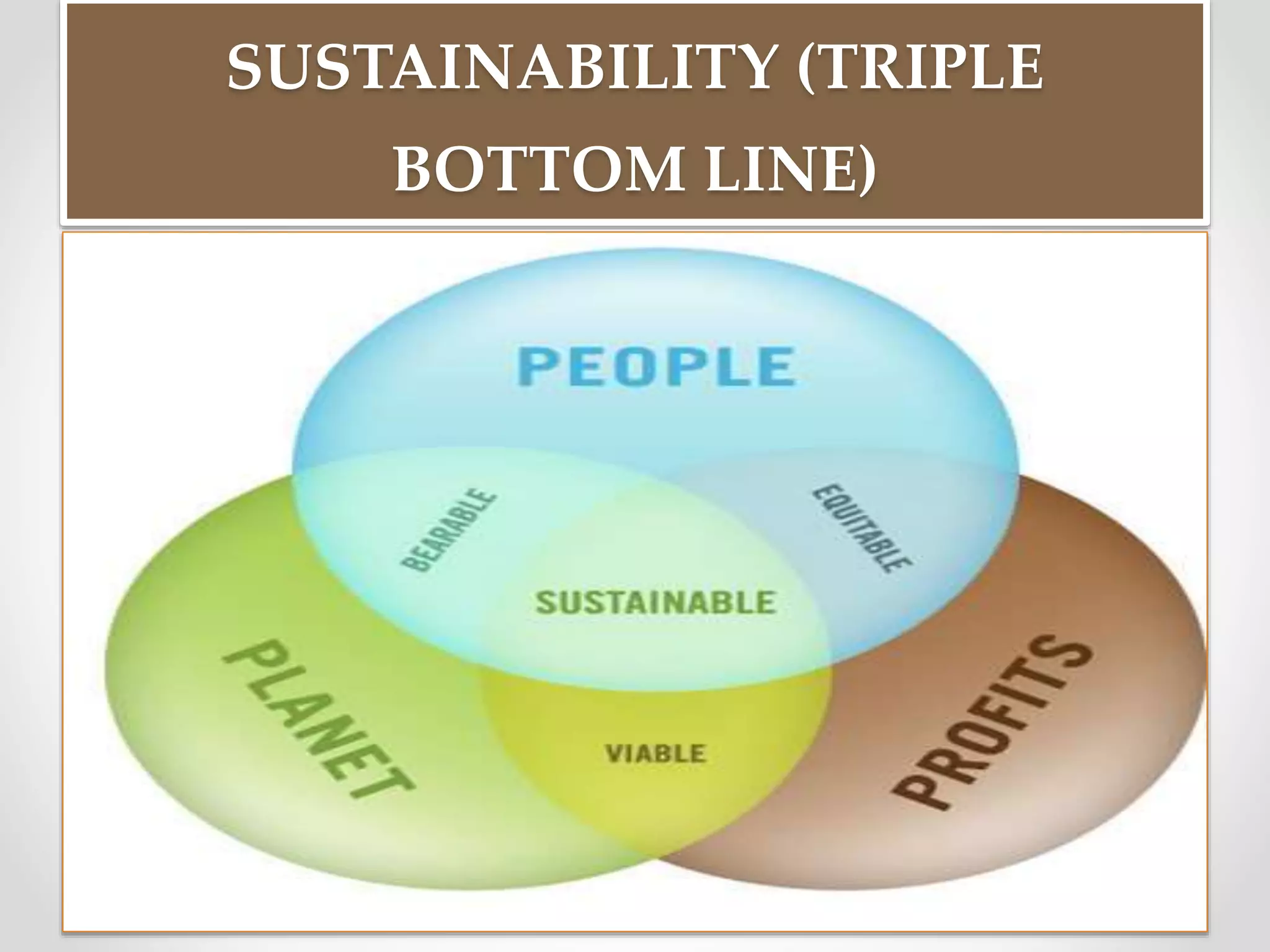 SUSTAINABILITY (TRIPLE
BOTTOM LINE)
 