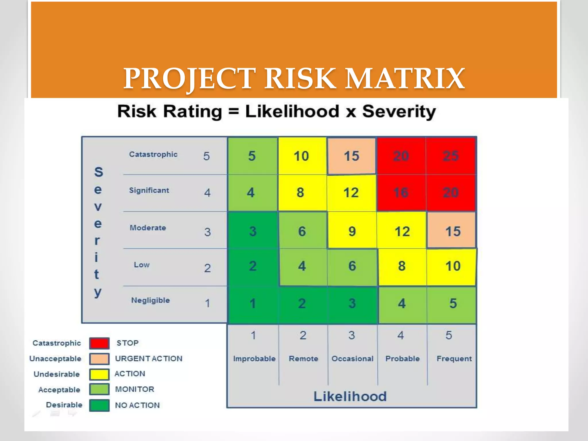 PROJECT RISK MATRIX
 