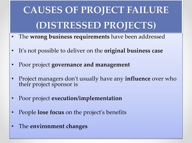 Project Management Principles and Process | PPTX