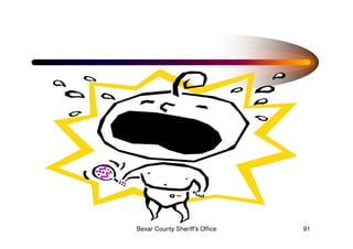 Effective Report Writing