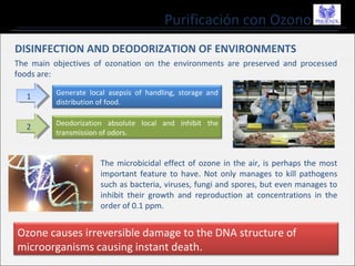 Purificación con Ozono
DISINFECTION AND DEODORIZATION OF ENVIRONMENTS
The main objectives of ozonation on the environments are preserved and processed
foods are:
11 Generate local asepsis of handling, storage and
distribution of food.
22 Deodorization absolute local and inhibit the
transmission of odors.
The microbicidal effect of ozone in the air, is perhaps the most
important feature to have. Not only manages to kill pathogens
such as bacteria, viruses, fungi and spores, but even manages to
inhibit their growth and reproduction at concentrations in the
order of 0.1 ppm.
Ozone causes irreversible damage to the DNA structure of
microorganisms causing instant death.
 