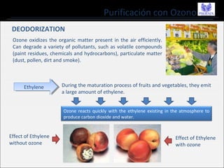 Purificación con Ozono
DEODORIZATION
Ozone oxidizes the organic matter present in the air efficiently.
Can degrade a variety of pollutants, such as volatile compounds
(paint residues, chemicals and hydrocarbons), particulate matter
(dust, pollen, dirt and smoke).
EthyleneEthylene
Ozone reacts quickly with the ethylene existing in the atmosphere to
produce carbon dioxide and water.
During the maturation process of fruits and vegetables, they emit
a large amount of ethylene.
Effect of Ethylene
without ozone
Effect of Ethylene
with ozone
 