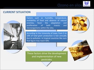 Ozono en silos
CURRENT SITUATION
Factors such as humidity, temperature,
availability of food and absence of natural
enemies, favor the adaptation and
proliferation of both insects and
microorganisms within the silos.
According to the University of Iowa, from 5 to
10% of total grain production is lost annually
due to pollution. In tropical countries like ours
that figure may reach 50%.
These factors drive the development
and implementation of new
pesticides
 