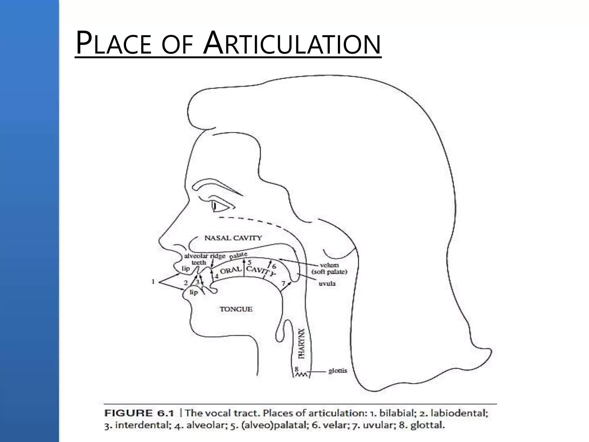 PLACE OF ARTICULATION
 