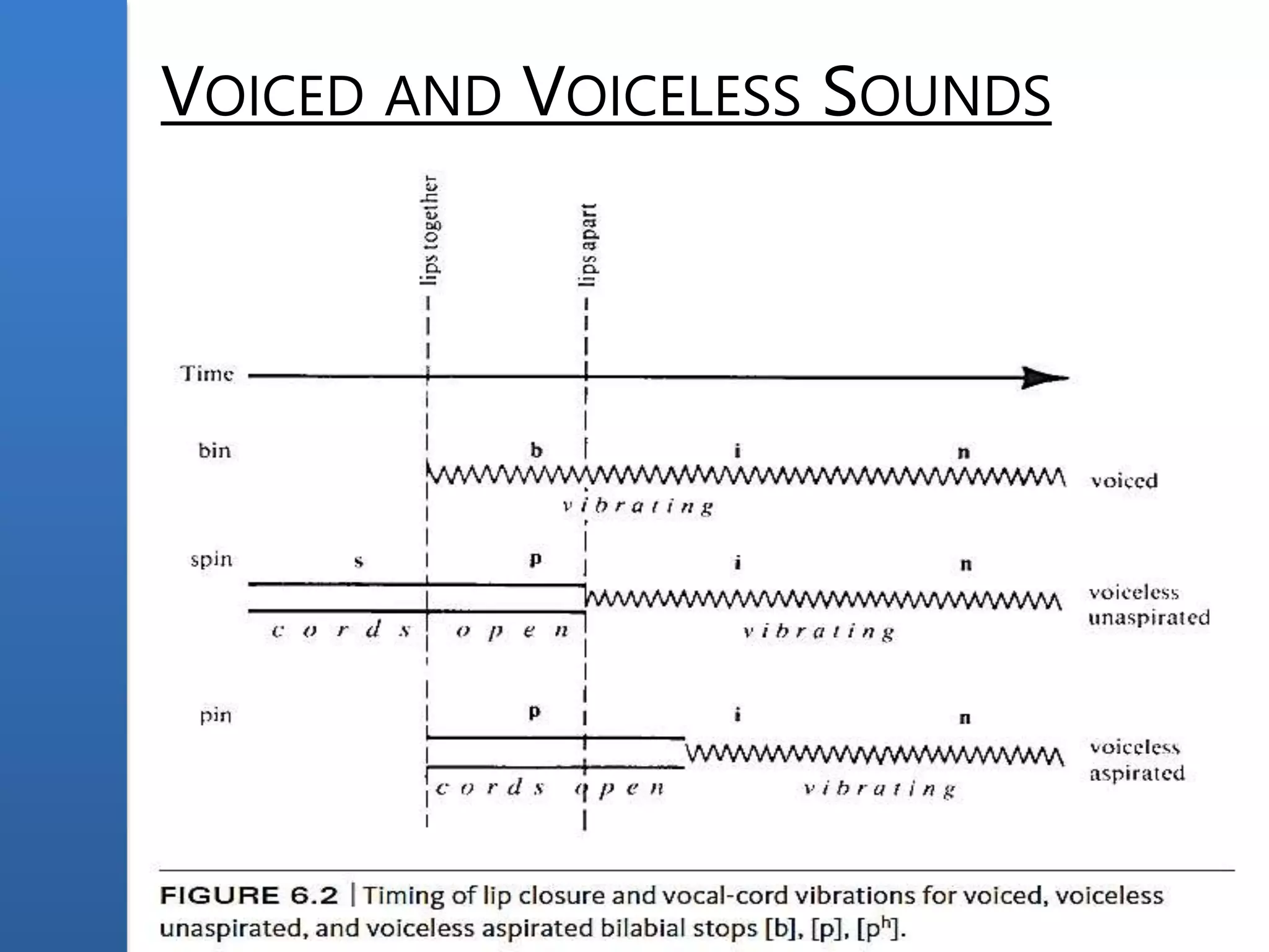 VOICED AND VOICELESS SOUNDS
 