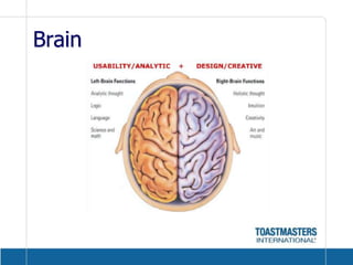 Brain