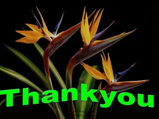 Monday, October 1, 2018 SMS Kabir, Psychologist;
smskabir@psy.jnu.ac.bd
39
 