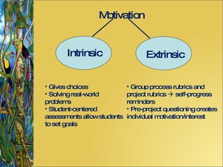 Intrinsic Motivation Extrinsic Gives choices Solving real-world problems Student-centered assessments allow students to set goals Group process rubrics and project rubrics    self-progress reminders Pre-project questioning creates individual motivation/interest 