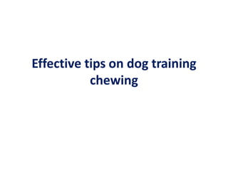 Effective tips on dog training chewing 