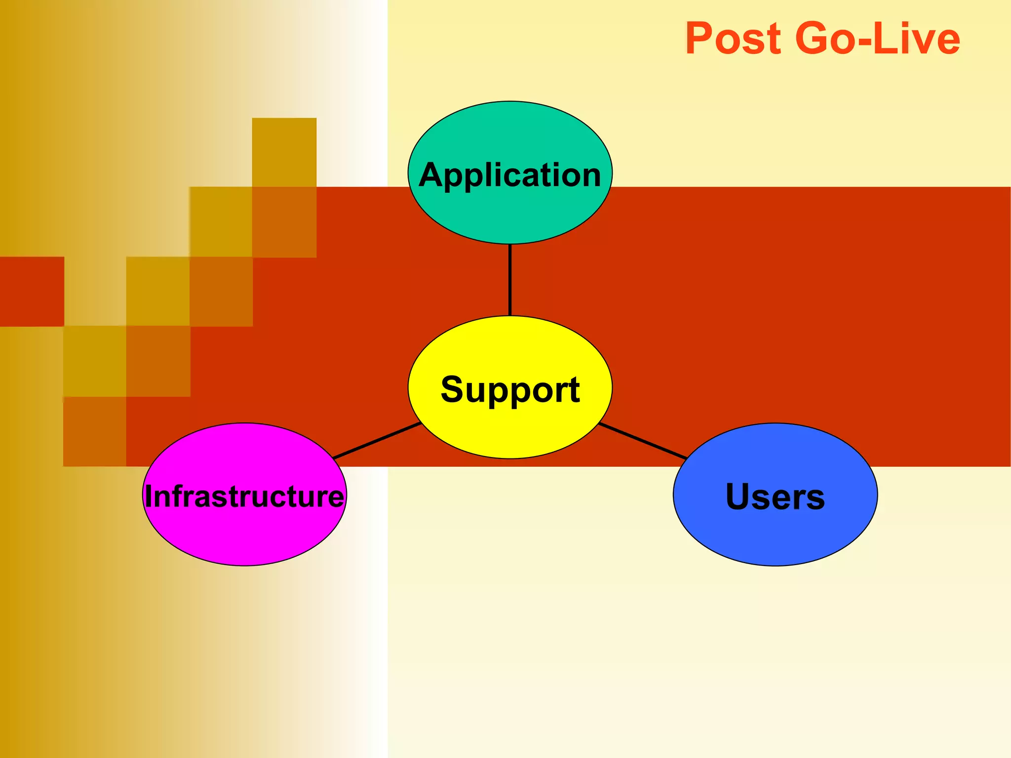 Post Go-Live Infrastructure Users Application Support 