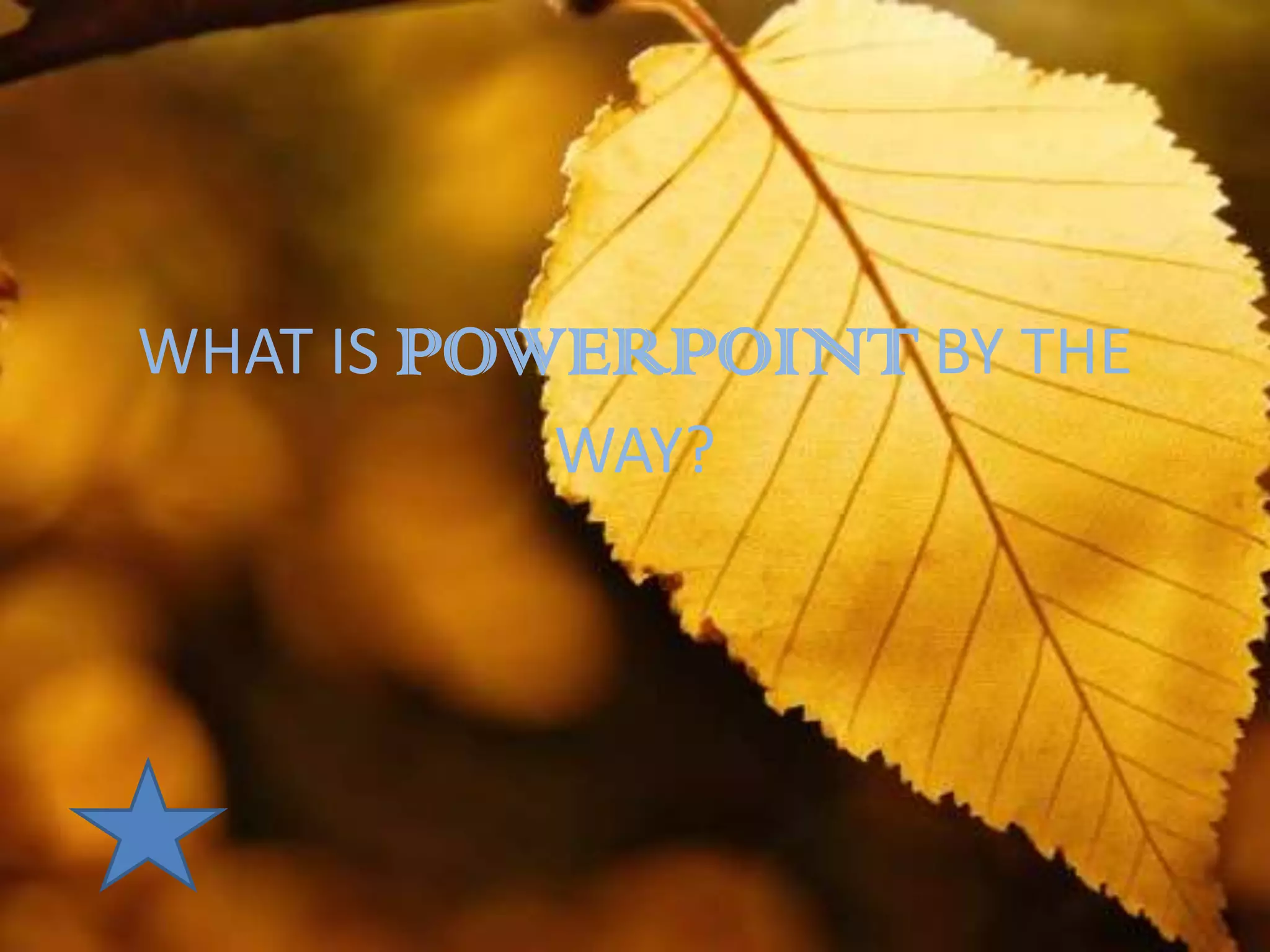 WHAT IS POWERPOINT BY THE
           WAY?
 