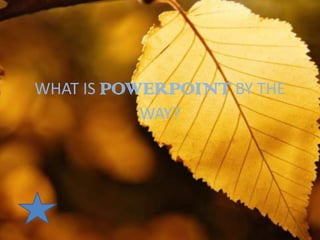 WHAT IS POWERPOINT BY THE
           WAY?
 