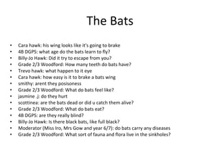 The Bats <ul><li>Cara hawk: his wing looks like it's going to brake </li></ul><ul><li>4B DGPS: what age do the bats learn ...