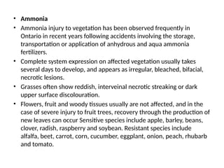 EFFECT OF AIR POLLUTANTS ON PLANTS ,TYPES.pptx