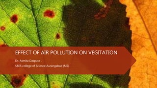 EFFECT OF AIR POLLUTION ON VEGITATION
Dr. Asmita Daspute .
SBES college of Science Aurangabad (MS)
 