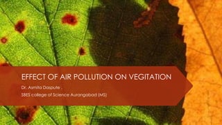 EFFECT OF AIR POLLUTION ON VEGITATION
Dr. Asmita Daspute .
SBES college of Science Aurangabad (MS)
 