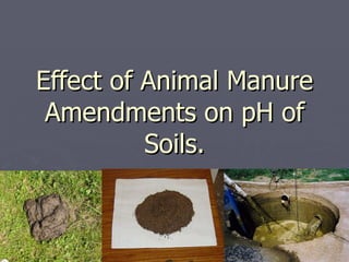 Effect of Animal Manure Amendments on pH of Soils. 