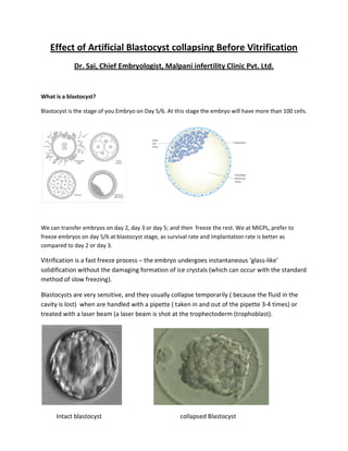 Effect of Artificial Blastocyst collapsing Before Vitrification
Dr. Sai, Chief Embryologist, Malpani infertility Clinic Pvt. Ltd.
What is a blastocyst?
Blastocyst is the stage of you Embryo on Day 5/6. At this stage the embryo will have more than 100 cells.
We can transfer embryos on day 2, day 3 or day 5; and then freeze the rest. We at MICPL, prefer to
freeze embryos on day 5/6 at blastocyst stage, as survival rate and implantation rate is better as
compared to day 2 or day 3.
Vitrification is a fast freeze process – the embryo undergoes instantaneous ‘glass-like’
solidification without the damaging formation of ice crystals (which can occur with the standard
method of slow freezing).
Blastocysts are very sensitive, and they usually collapse temporarily ( because the fluid in the
cavity is lost) when are handled with a pipette ( taken in and out of the pipette 3-4 times) or
treated with a laser beam (a laser beam is shot at the trophectoderm (trophoblast).
Intact blastocyst collapsed Blastocyst
 