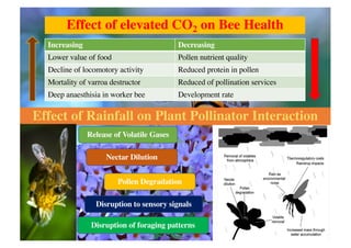 Effect of Climate Change on Bees & Mitigation .pdf