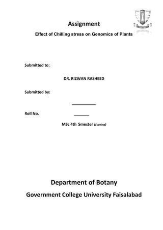 Assignment
     Effect of Chilling stress on Genomics of Plants




Submitted to:


                    DR. RIZWAN RASHEED


Submitted by:

                        ___________

Roll No.                 _______

                   MSc 4th Smester (Evening)




                Department of Botany
Government College University Faisalabad
 