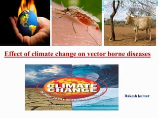 Effect of climate change on vector borne diseases
Rakesh kumar
 
