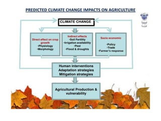 Effect of climate change on agriculture A Presentation By Mr Allah Dad ...