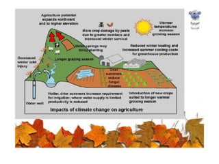 Effect of climate change on agriculture A Presentation By Mr Allah Dad ...