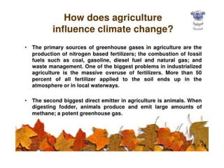 Effect of climate change on agriculture A Presentation By Mr Allah Dad ...